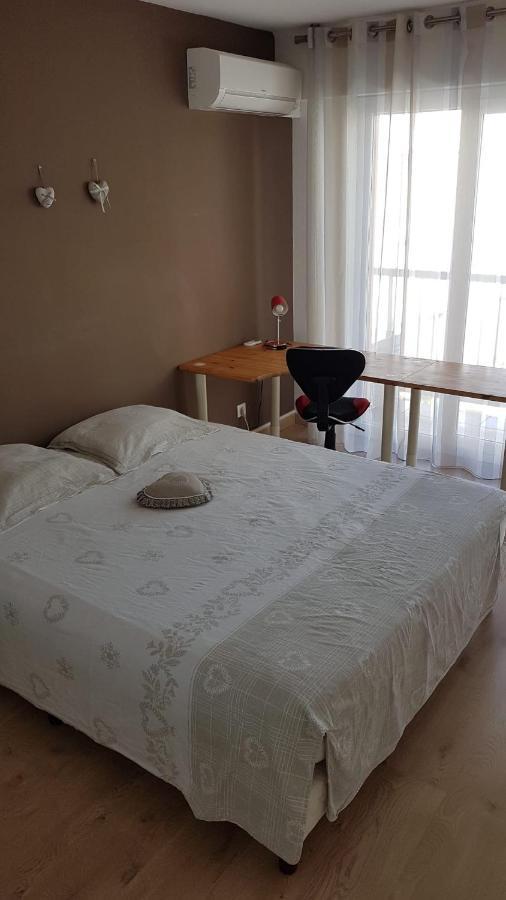 Tres Beau 3 Pieces Spacieux Lumineux Et Climatise Ницца Экстерьер фото